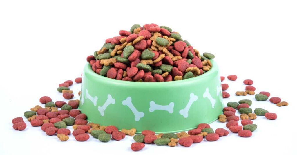 Best Dog Food For Schnauzers With Skin Allergies